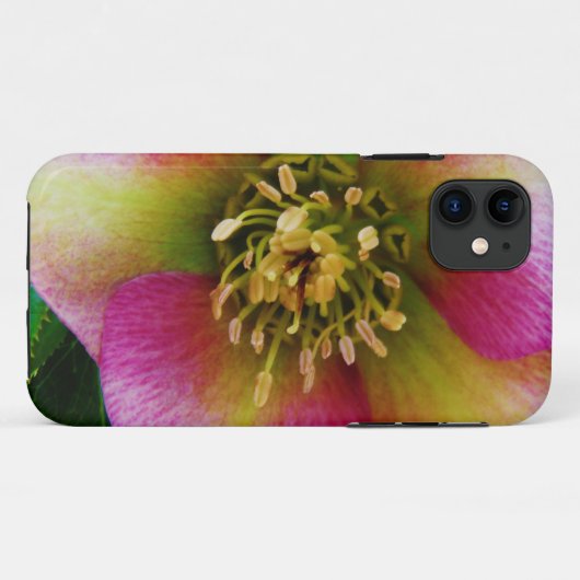 Roze Lenten-Roos, Case-Mate iPhone Case (Achterkant (horizontaal))