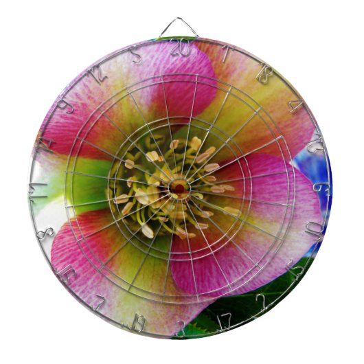 Roze Lenten-Roos, Dartbord (Voorkant)