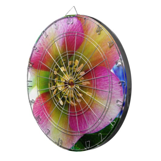 Roze Lenten-Roos, Dartbord (Voorkant Rechts)