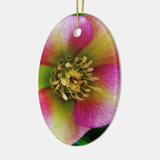 Roze Lenten-Roos, Keramisch Ornament (Links)