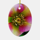 Roze Lenten-Roos, Keramisch Ornament (Voorkant)