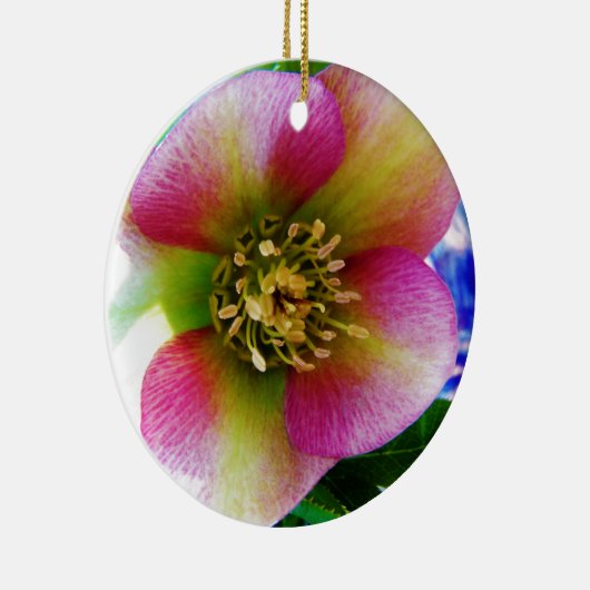 Roze Lenten-Roos, Keramisch Ornament (Rechts)