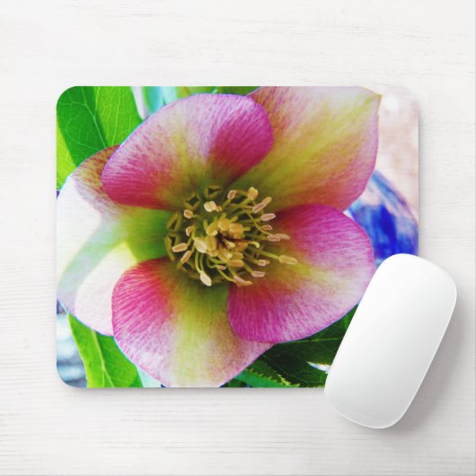 Roze Lenten-Roos, Muismat (Met muis)