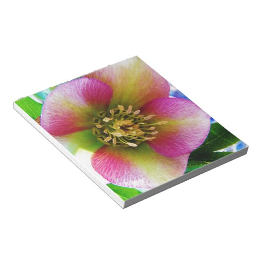 Roze Lenten-Roos, Notitieblok (Schuin)