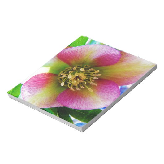 Roze Lenten-Roos, Notitieblok (Linkerzijde)