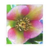 Roze Lenten-Roos, Notitieblok (Voorkant)