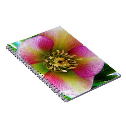 Roze Lenten-Roos, Notitieboek (Rechterzijde)