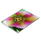 Roze Lenten-Roos, Notitieboek (Linkerzijde)