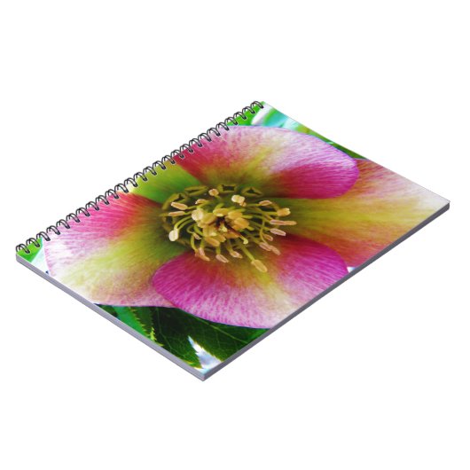 Roze Lenten-Roos, Notitieboek (Linkerzijde)