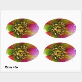 Roze Lenten-Roos, Ovale Sticker (Vel)