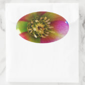 Roze Lenten-Roos, Ovale Sticker (Tas)