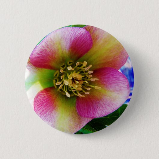 Roze Lenten-Roos, Ronde Button 5,7 Cm (Voorkant)