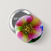 Roze Lenten-Roos, Ronde Button 5,7 Cm (Voorkant /achterkant)