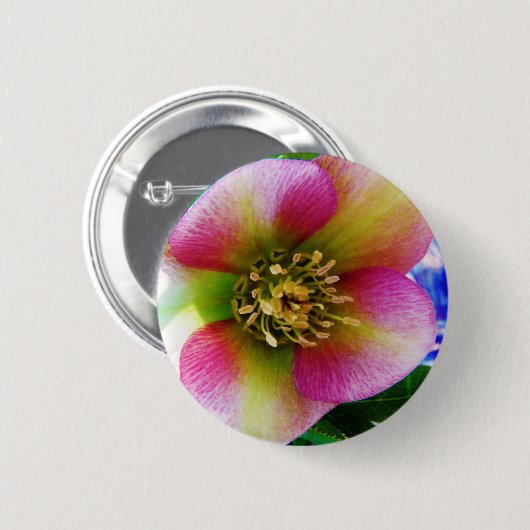 Roze Lenten-Roos, Ronde Button 5,7 Cm (Voorkant /achterkant)