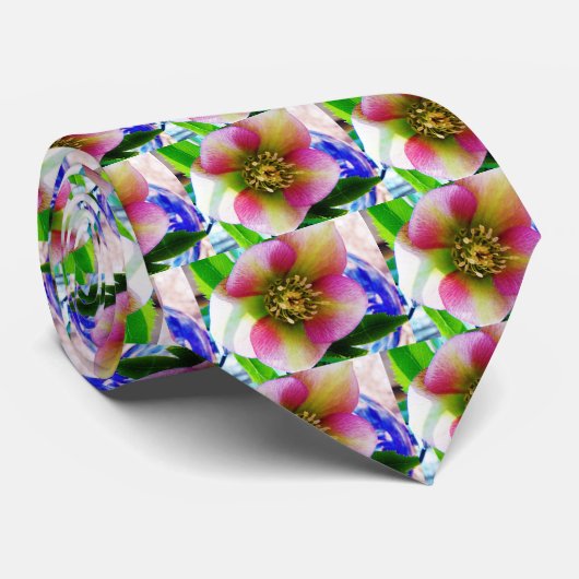 Roze Lenten-Roos, Stropdas (Opgerold)