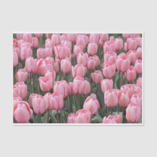 Roze lentetelbloemen tissuepapier (Voorkant)