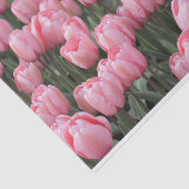 Roze lentetelbloemen tissuepapier (Detail)