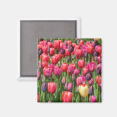 Roze lentussenmagneet magneet (Voorkant / Achterkant)