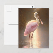 Roze Lepelaar Briefkaart (Voorkant / Achterkant)