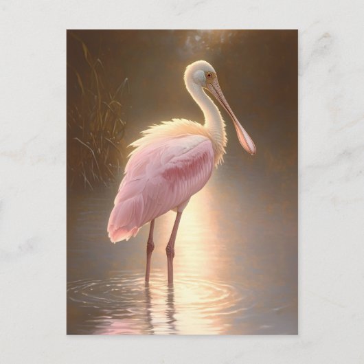Roze Lepelaar Briefkaart (Voorkant)