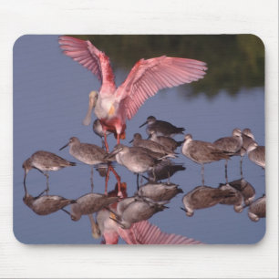 Roze Lepelaar met Willets in ondiep water Muismat