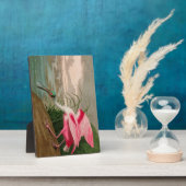 Roze Lepelaar Vogels van Amerika Audubon Print Fotoplaat (Zijkant)