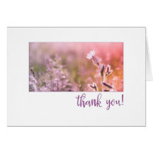 Roze lichte Campion Wildflower Hartelijk dank