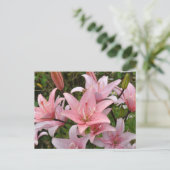 Roze lichtflorale schoonheid briefkaart (Staand voorkant)