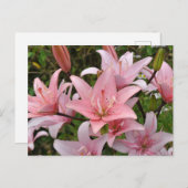 Roze lichtflorale schoonheid briefkaart (Voorkant / Achterkant)