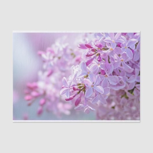 Roze lila bloemen tissuepapier (Voorkant)