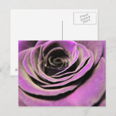 Roze Lila Roos Briefkaart (Voorkant / Achterkant)
