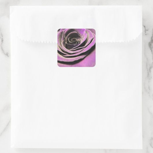 Roze Lila Roos Vierkante Sticker (Tas)