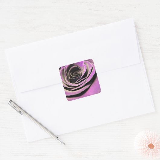 Roze Lila Roos Vierkante Sticker (Envelop)
