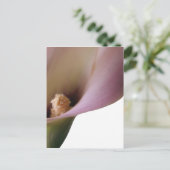 Roze Lilly Briefkaart (Staand voorkant)