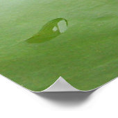 Roze Lilly in Pond Poster (Hoek)