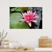 Roze Lilly in Pond Poster (Keuken)