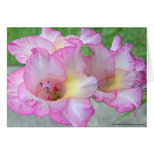 roze lilly_palete mes (Voorkant Horizontaal)
