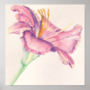 Roze Lily Acrylverf Poster