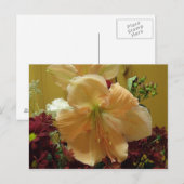 Roze Lily Bouquet Briefkaart (Voorkant / Achterkant)