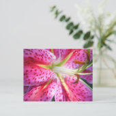 Roze Lily Briefkaart (Staand voorkant)