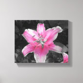 Roze Lily Canvas Afdruk (Voorkant)