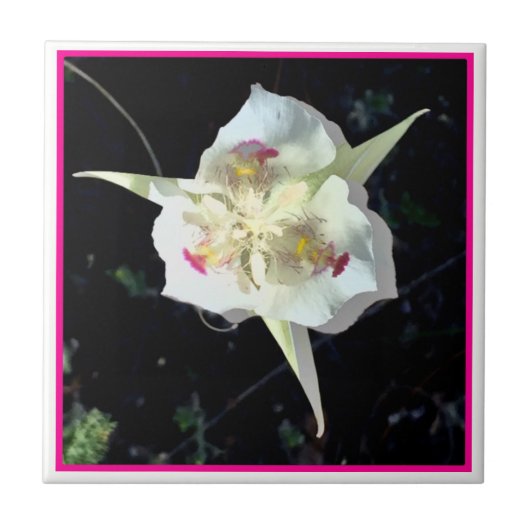 Roze Lily Fairy Tegel Tegeltje (Voorkant)