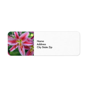  Roze Lily Floral Foto Etiket