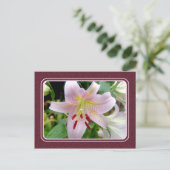 Roze Lily Flower Briefkaart (Staand voorkant)