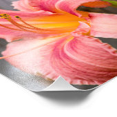Roze Lily Flower Close Foto Afdruk (Hoek)