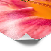 Roze Lily Flower Foto Afdruk (Hoek)
