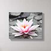 Roze Lily Flower met zwarte achtergrond Canvas Afdruk (Voorkant)
