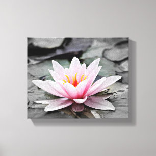 Roze Lily Flower met zwarte achtergrond Canvas Afdruk