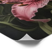 Roze Lily Flowers Art Print Poster (Hoek)