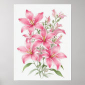 Roze Lily Flowers Poster (Voorkant)